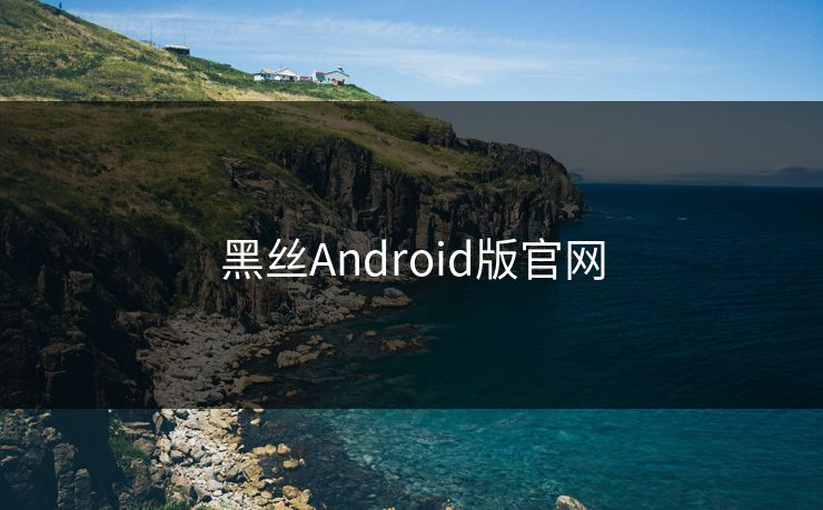 黑丝Android版官网