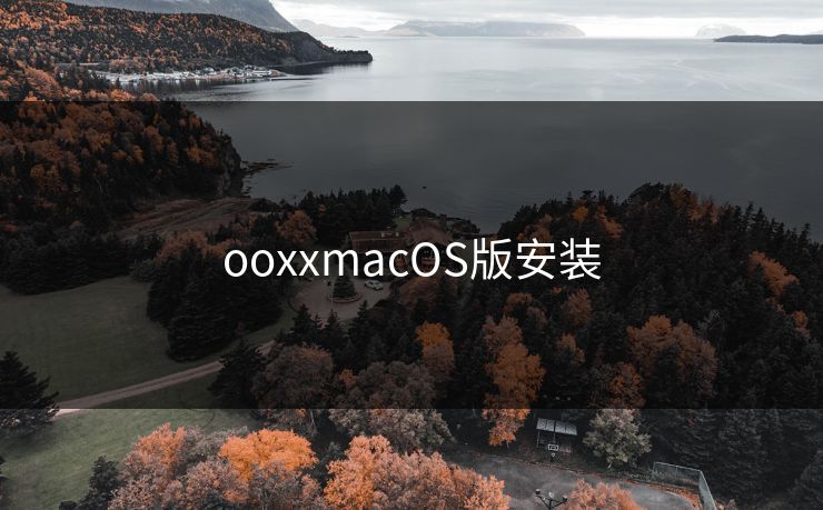 ooxxmacOS版安装