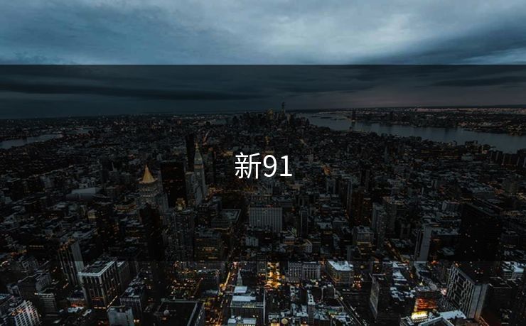 新91